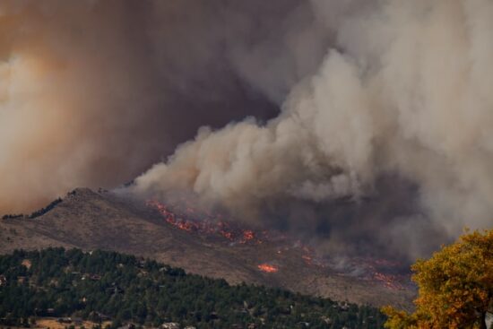 Wildifire
