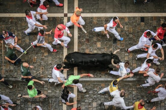Bull Festival