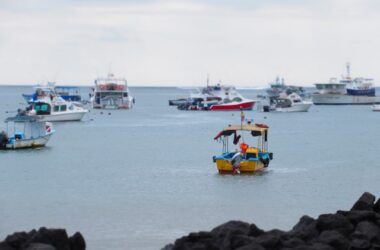 Port