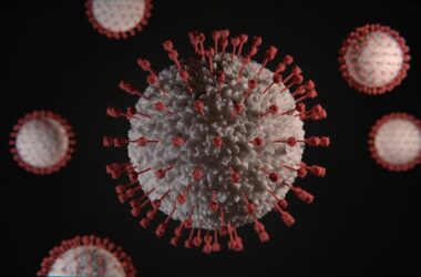 Virus