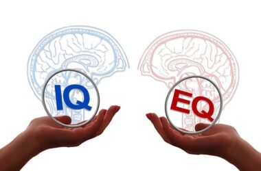 IQ