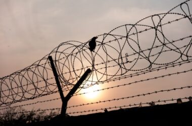 Fence