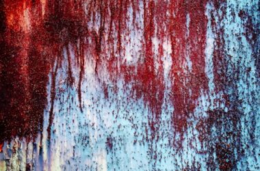 Blood