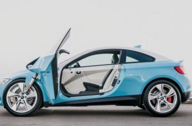 Furious Green Minister Slams Electric Car Subsidy!