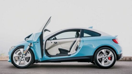 Furious Green Minister Slams Electric Car Subsidy!