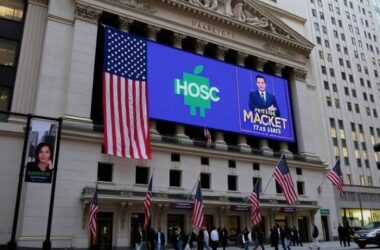 Broadcom's Plunge Signals Doom for the AI Revolution?