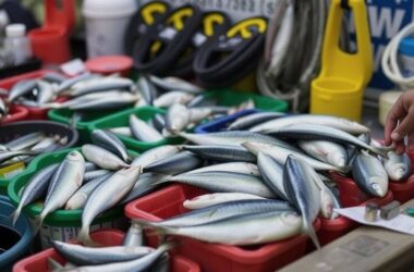 BREAKING: EU Fishing Deal Sets Hook for North Sea, But What's Baiting the Real Catch?