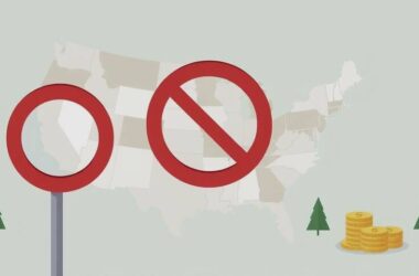 FDP's Shocking U-Turn on Nuclear Power!