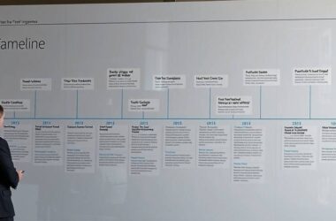 BOMBSHELL: Green Party Demands Transparency in Magdeburg Bombing Probe