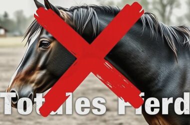 Germany's Economic Guru Slams Left-Wing Party's 'Dead Horse' Wealth Tax Plan