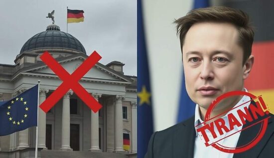 Musk's Twitter Tirade Threatens German Election