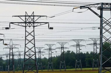 Stress-Free Grid: 2024 Power Outage Costs Cut in Half!