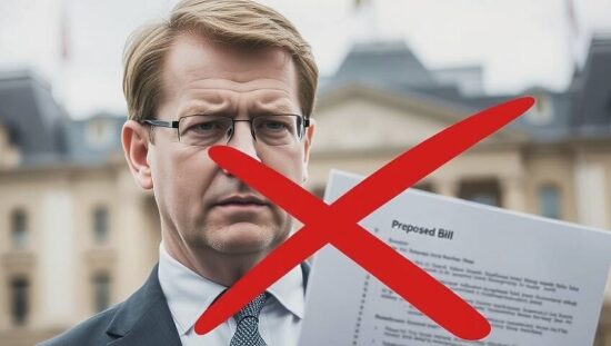 Bundesträger warnt vor "schwerem Fehler"in AfD-Verbotsdebatte