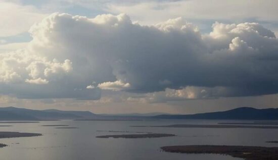 CBS Fires Meteorologist Over Elon Musk 'Nazi' Slur