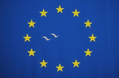 BREAKING: Merkel's EU Unites Against Far-Right's Migration Bill, Saves the Day!