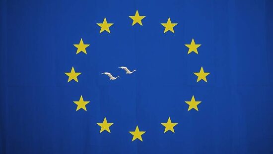 BREAKING: Merkel's EU Unites Against Far-Right's Migration Bill, Saves the Day!