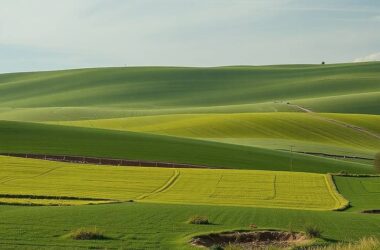 EU on the Brink of Lifting Sanctions, as Green Party Demands a Change of Heart!