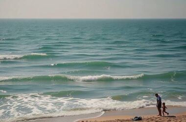 Record-Breaking Heat in 2024