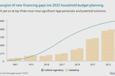 BUDGET BOMBSHELL: 2025's Financial Gap Widens in Shocking Revelation