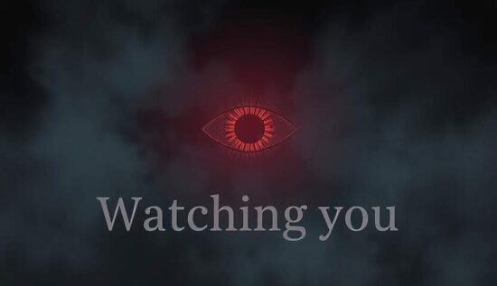 Shadow Agency: Who's Guarding the Constitution's Shield?