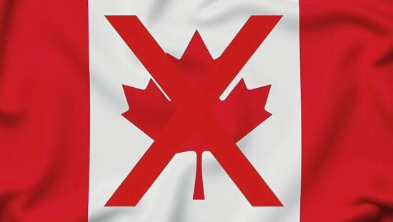 German MEP Reveals the Unattainable Truth!