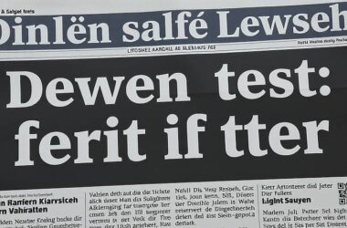 CDU Exposed: Behind the Scenes of a Political Smear Campaign?