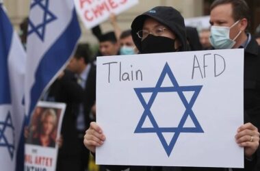 Anti-AfD Protests Ignore Holocaust's Lessons