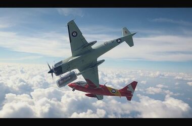 Fatal Flip: When Routine Turns Deadly in the Skies
