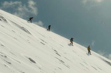 Toleranz Tot: Climate Warriors Turned into 'Criminal Association' in Shocking German Crackdown