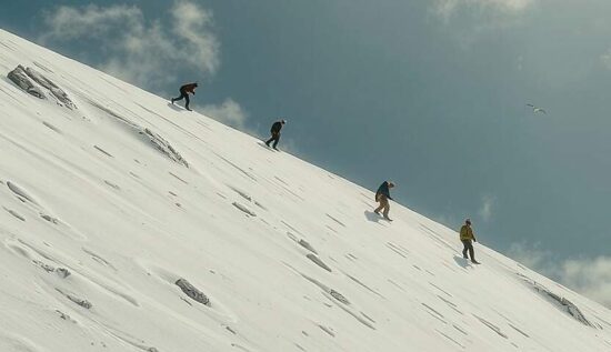 Toleranz Tot: Climate Warriors Turned into 'Criminal Association' in Shocking German Crackdown