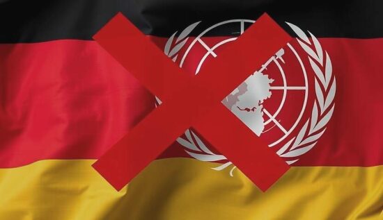 Foreign Minister's UN Move Sparks Mass Backlash