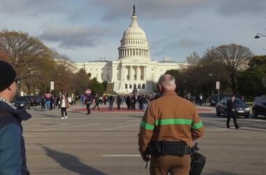 Germany's Institutions in Peril?