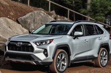 Bodies of a Tragic Family Found in a Car of Doom