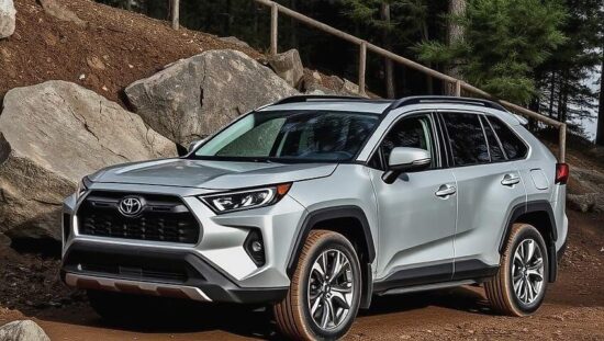 Bodies of a Tragic Family Found in a Car of Doom