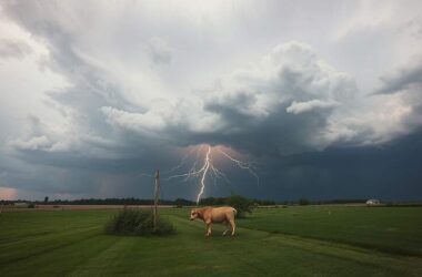 Unrelenting Storms to Batter the Nation!