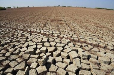 Drought's Deadly Grip on the Country's Future