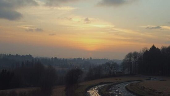 CDU Chief's Desperate Plea for Federal Help