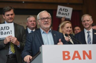 SPD Politicians Push for AfD's Demise