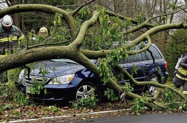 BERLIN BATTERED: DEADLY STORM LEAVES DESTRUCTION IN ITS WAKE