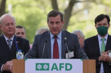 Green Party Leaders Urge State Premiers to Act Now