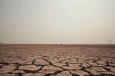 German Stocks Fall Except Rheinmetall and Symrise