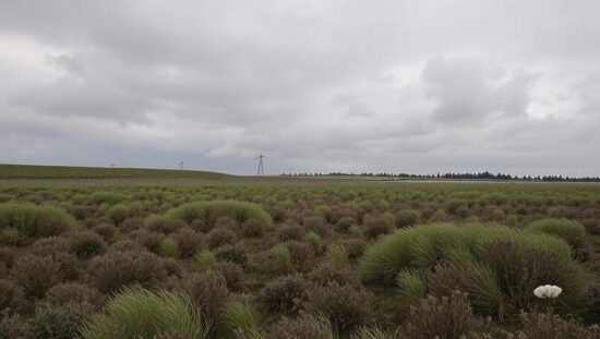 Nationwide Raids Target Doping Network