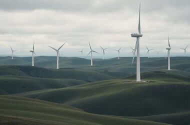 Climate Goal 2040 Faces Resistance
