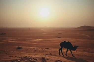 Middle East Enters New Era Trump Declares