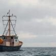 Baltic Fishing Quotas Set