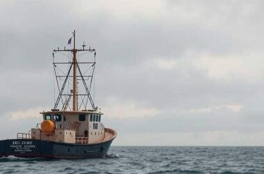 Baltic Fishing Quotas Set