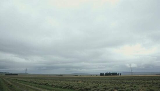 Bundeswehr Drone Missions Spark Legal Concerns