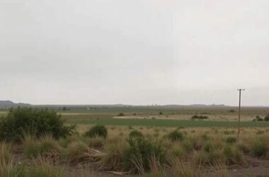 Internet Outages Frustrate Millions