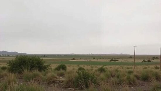 Internet Outages Frustrate Millions