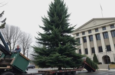 Merkel Receives Sauerland Christmas Tree